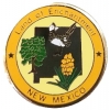 New Mexico Pin NM State Emblem Hat Lapel Pins